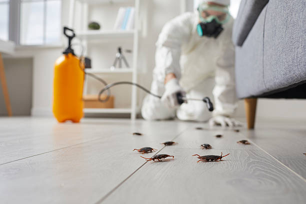 Commercial Kitchen Cockroach Control in Bellmawr